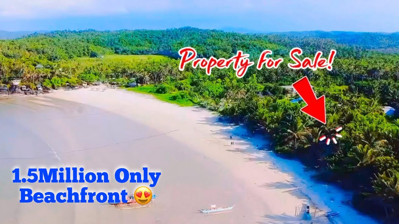 (#101)Quality Beachfront | 1000sqm | 18 meters Beachfrontage | Nearby Resorts | ₱1.5Million