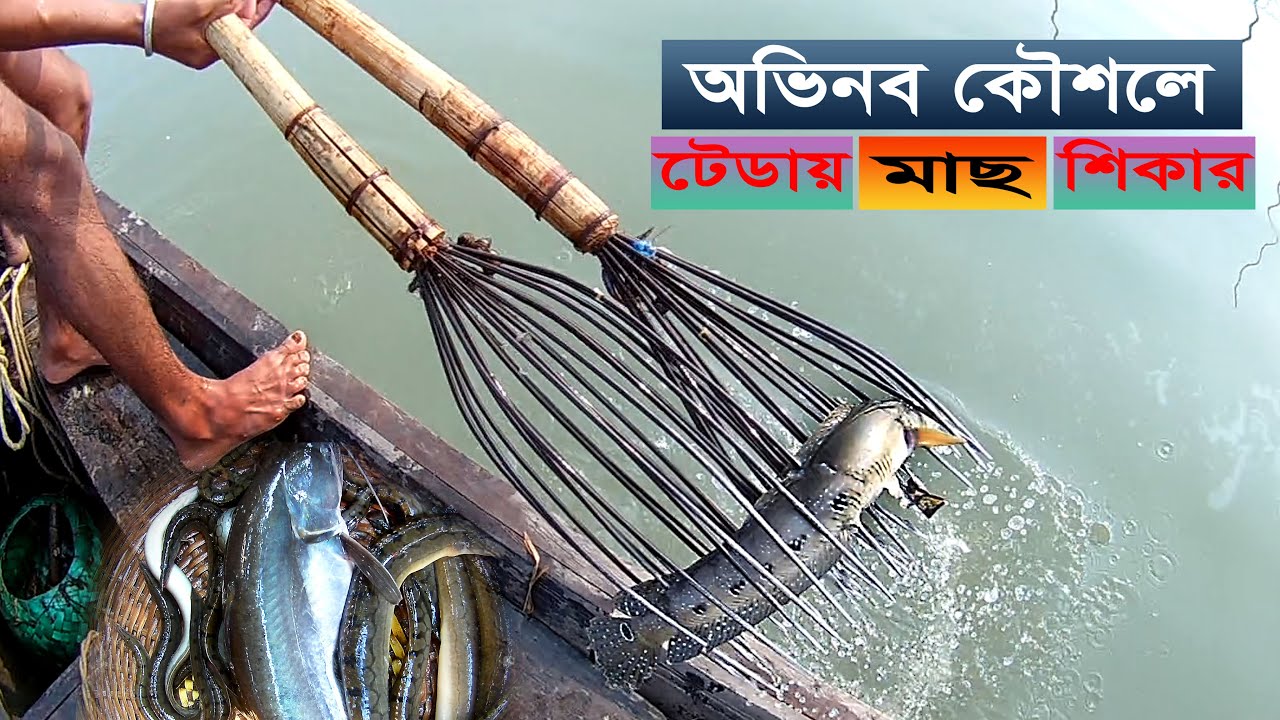 চোখে না দেখে টেডা দিয়ে নদী থেকে মাছ শিকার/Amazing Tada Fishing in Meghna River/Natural Fishing