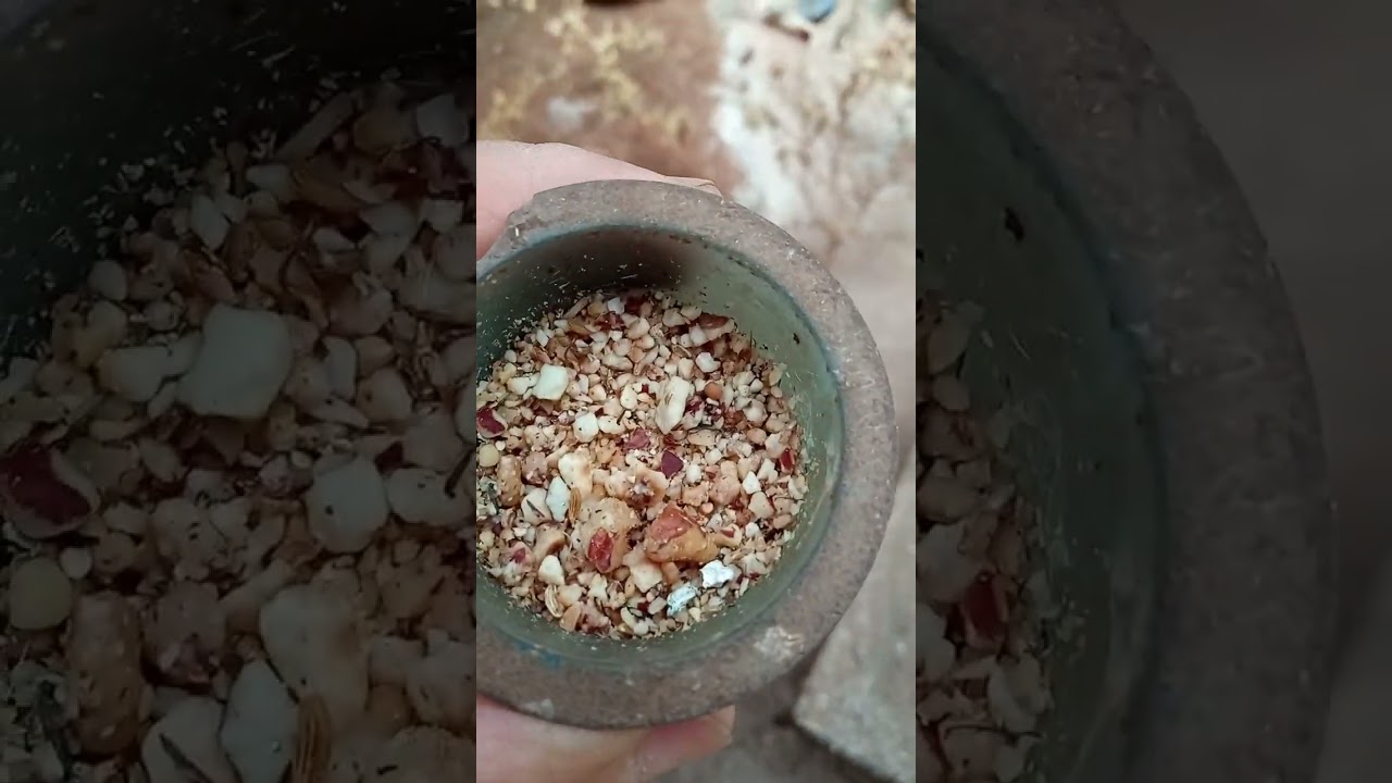 العلامة التي تدل على أن الطيور بدأت تخرج من مرحلة غيار الريش بسلام الله يسخر ووفق للجميع يارب.