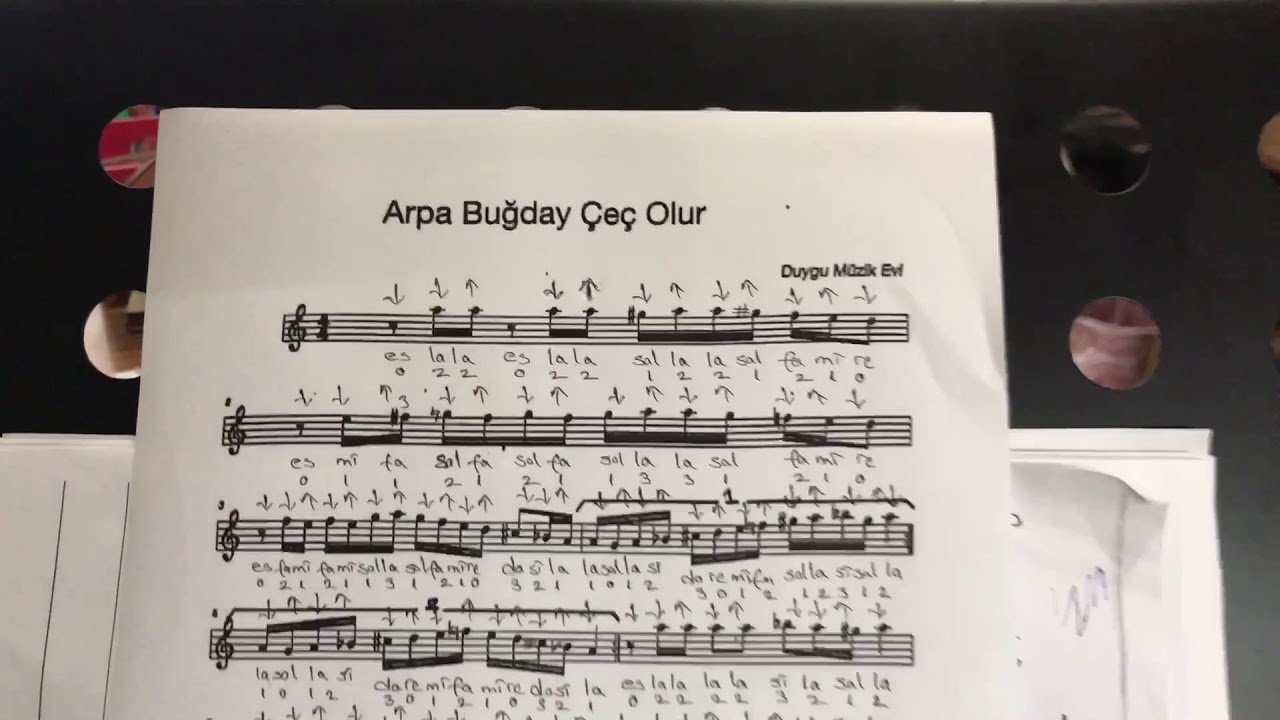 Arpa buğday çeç olur kısa saplı bağlama ile solfej