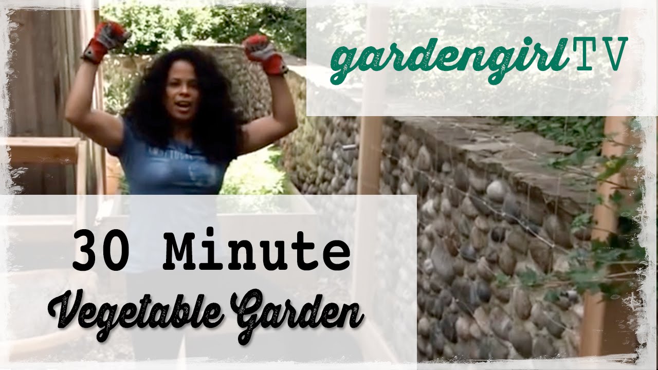 30 Minute Vegetable Garden