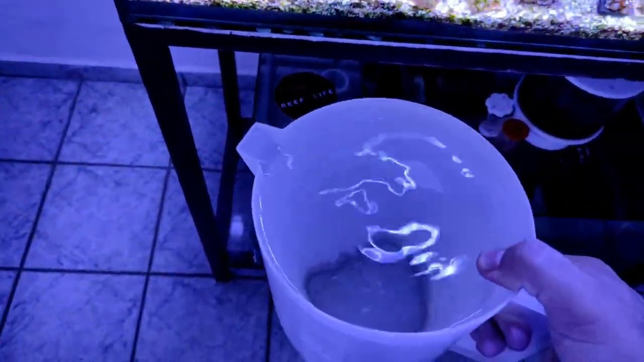 água de torneira no meu Reef como a fauna se comporta, usei a caneta TDS