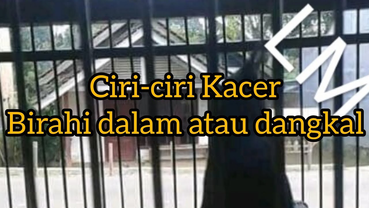 CIRI2 KACER BIRAHI DALAM ATAU DANGKAL