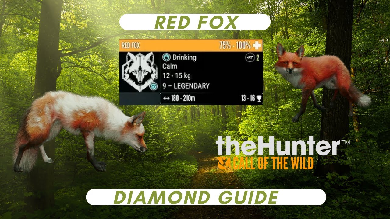 How to get your FIRST DIAMOND red fox!