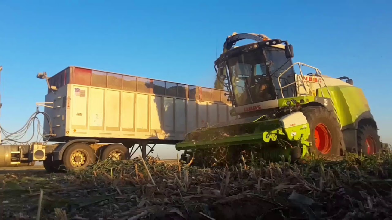 Poling Harvest 2017. Alfalfa, corn and sorghum crops. Dalhart, Texas