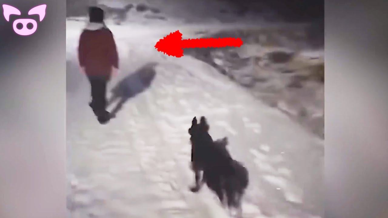 These Scary Videos Could Disappear Any Day