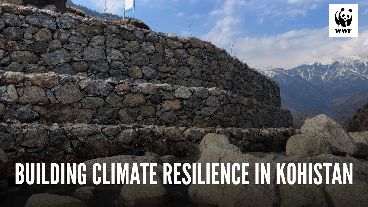 Gabion Bund in Kolai Palas Kohistan Protects Communities from Floods