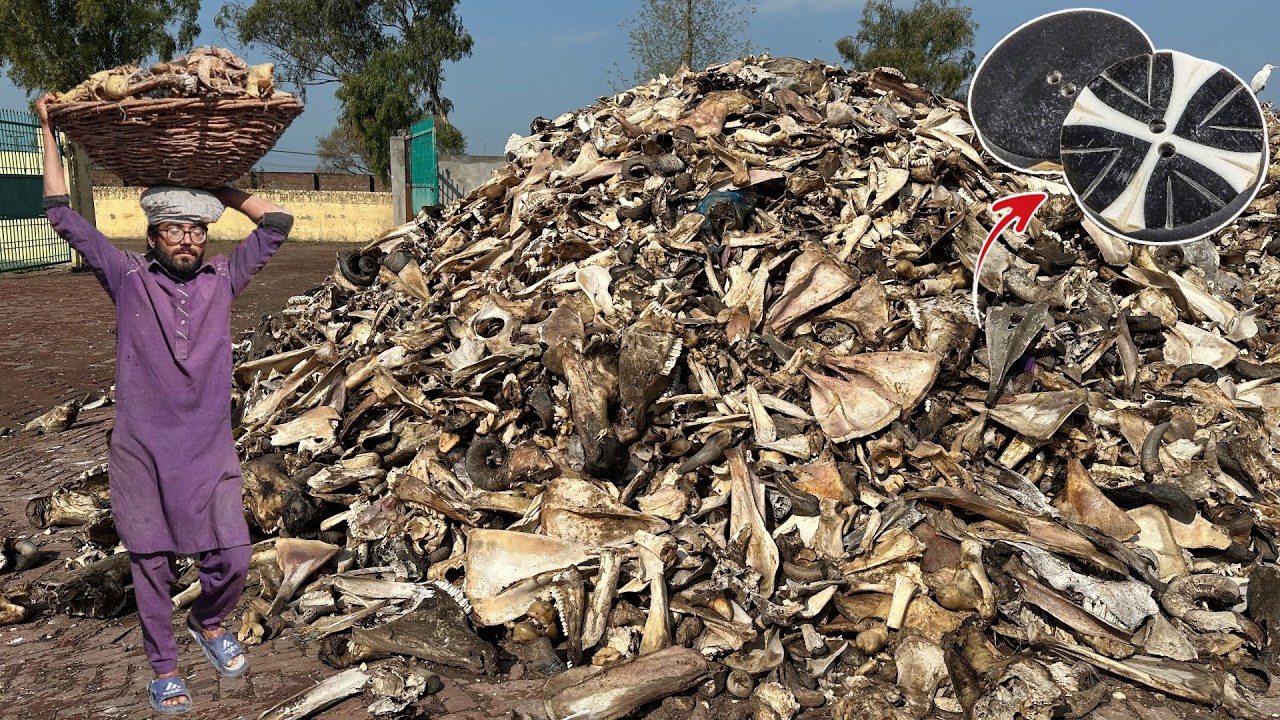 Unbelievable Recycling Process of Animal Bones to Make New Bone Buttons