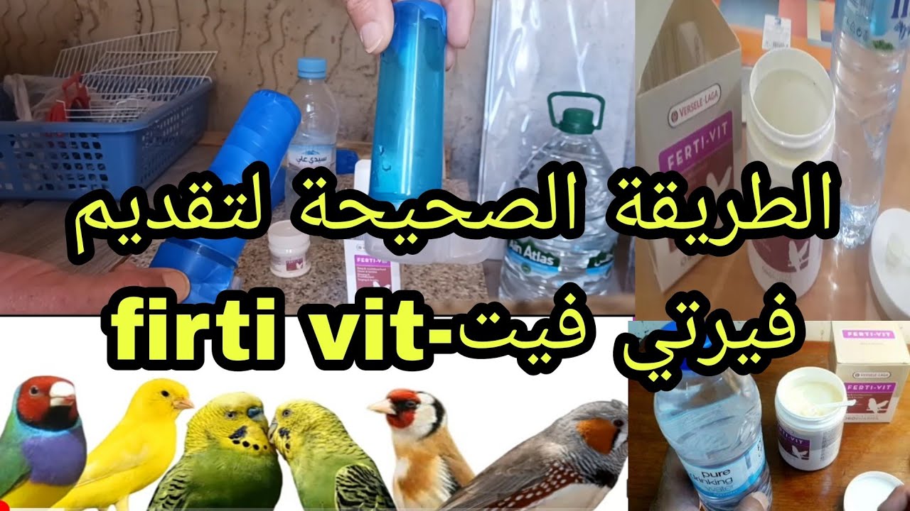 الطريقة الصحيحة لتقديم فيرتي فين(ferti vit)لتجهيز الطيور وزيادة خصوبتها مع مدة إستعماله