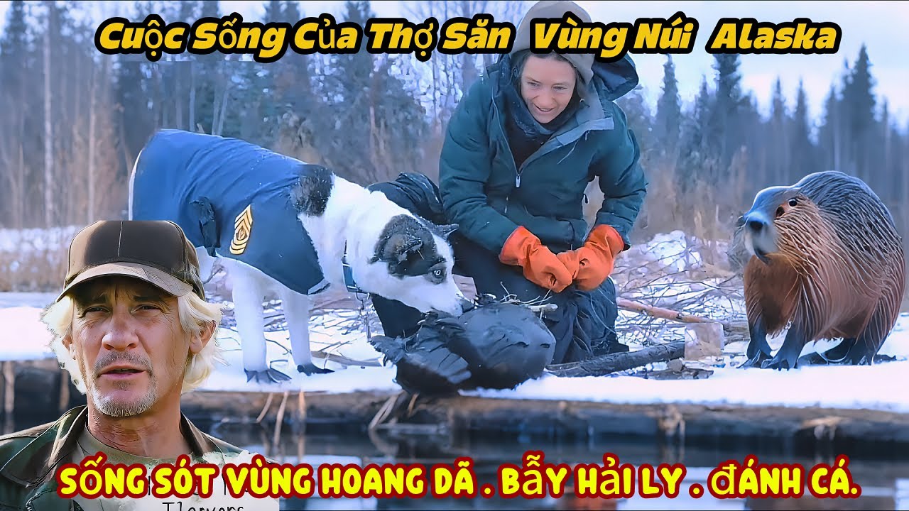 Cuộc Sống Thợ Săn Vùng Núi Alaska, Săn Hải Ly, Đánh Cá , Dạy  Kĩ Năng Săn Bắn
