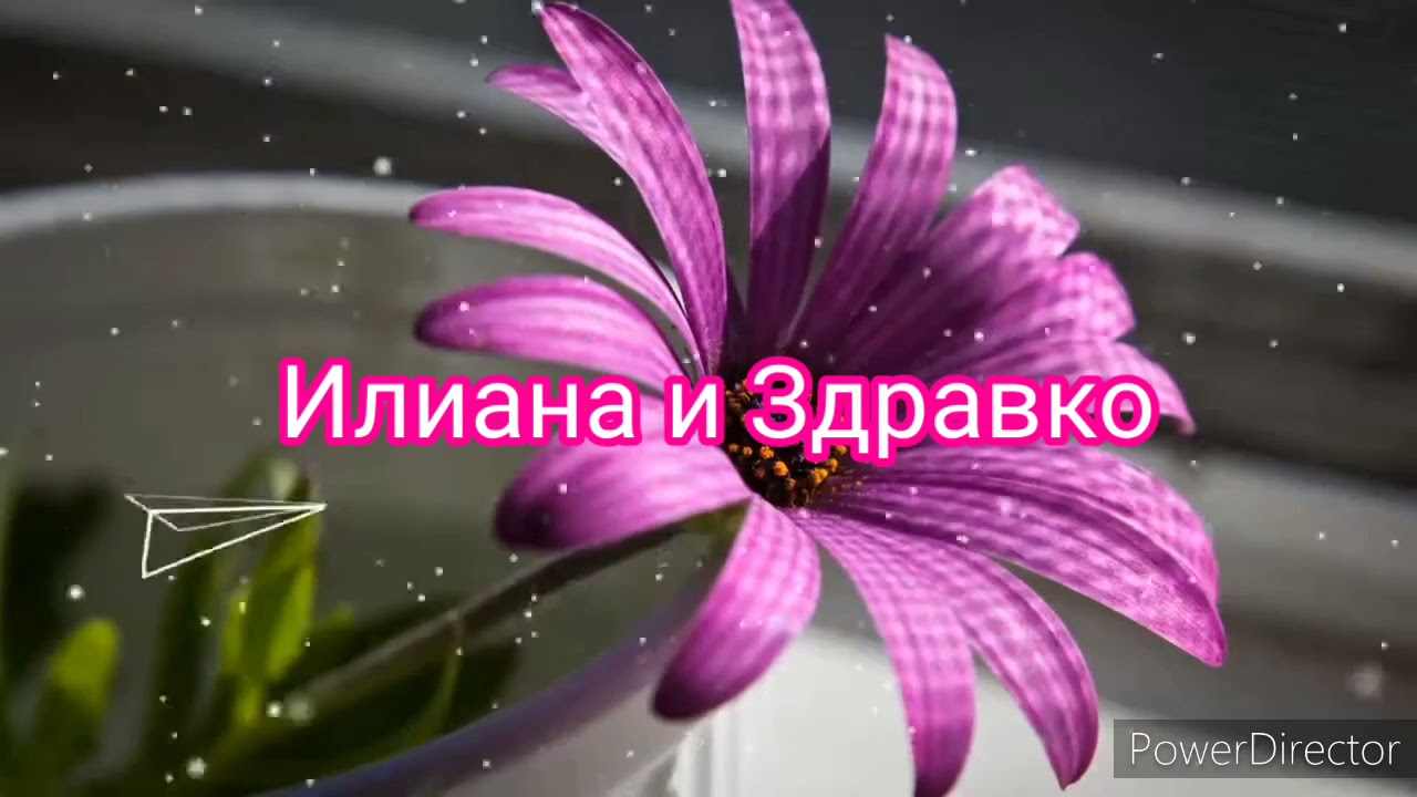 орк.Шеки  Бенд- Немой мила и Разсъмва се (тел. 0885706470 )