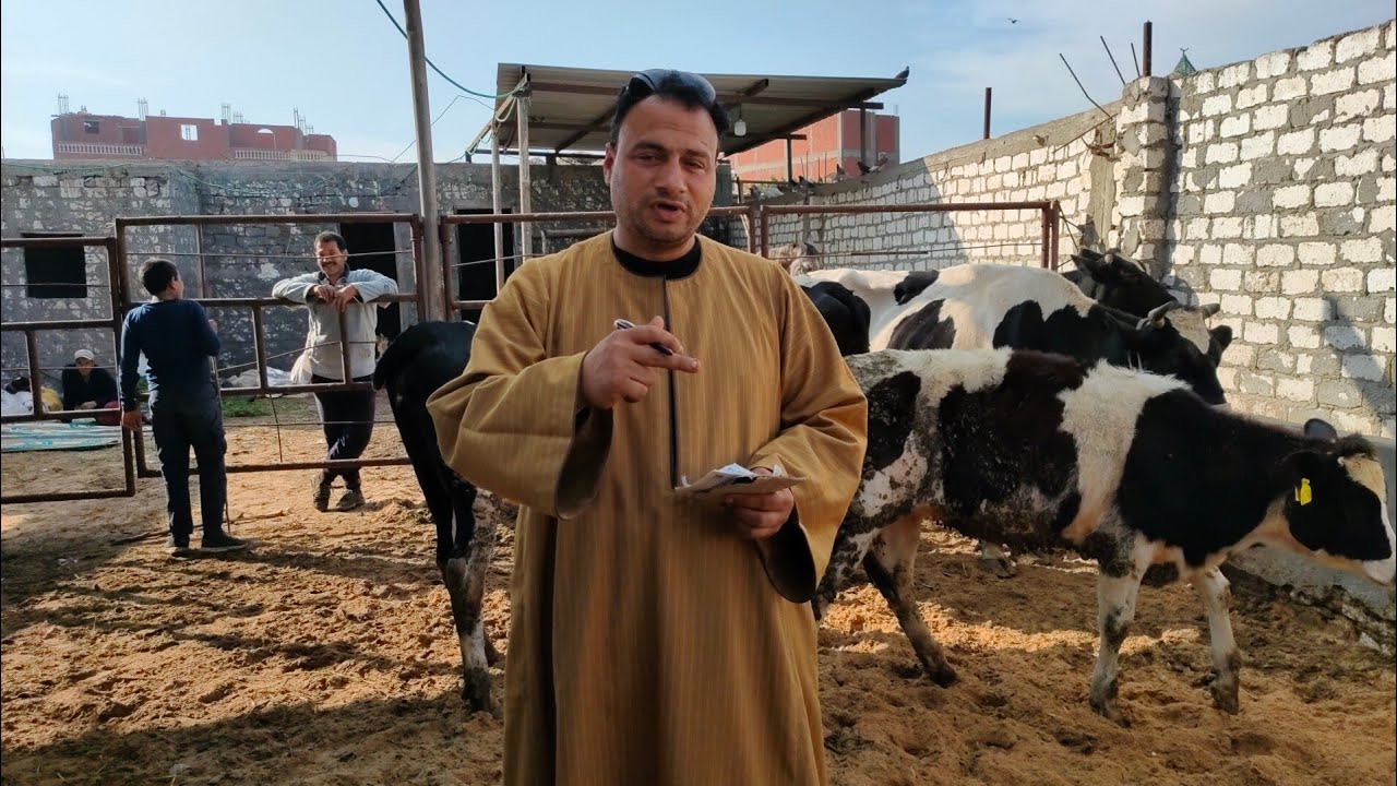 فكره مشروع للشباب مع التاجر الفصيح