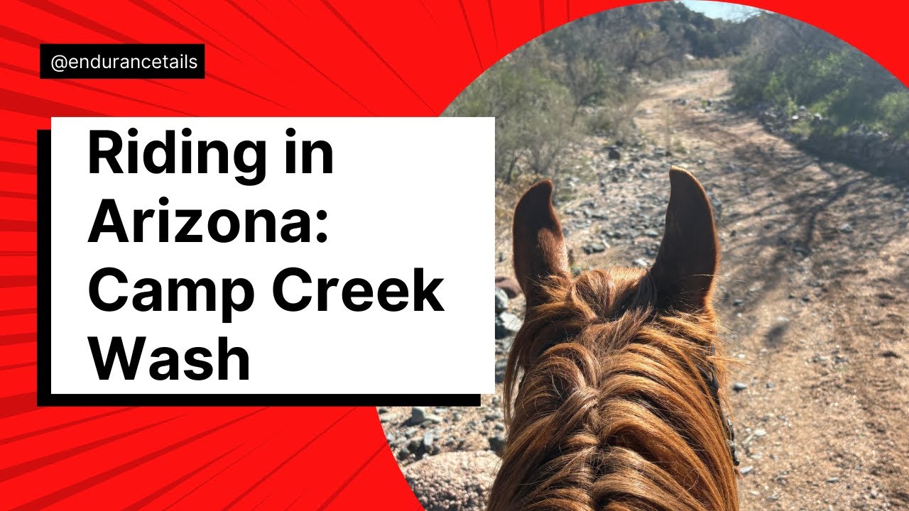 Riding in Arizona Camp Creek Wash