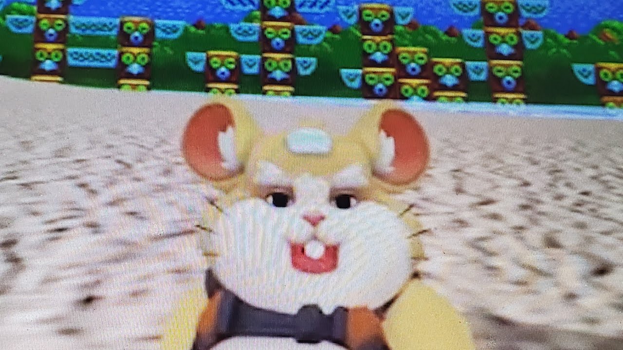 getting bullied by a hamster in vrchat