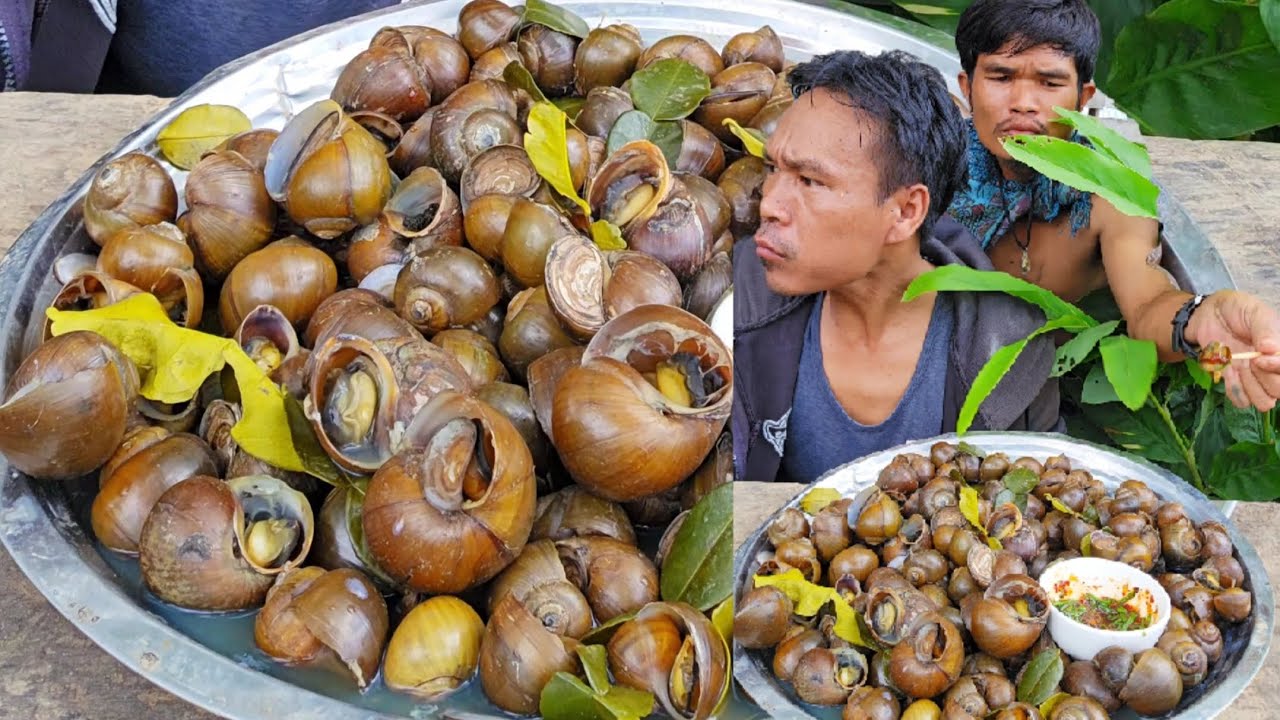 หอยจิ่มแจ่ว - ຫອຍຈີ້ມແຈ່ວ #บัวไล