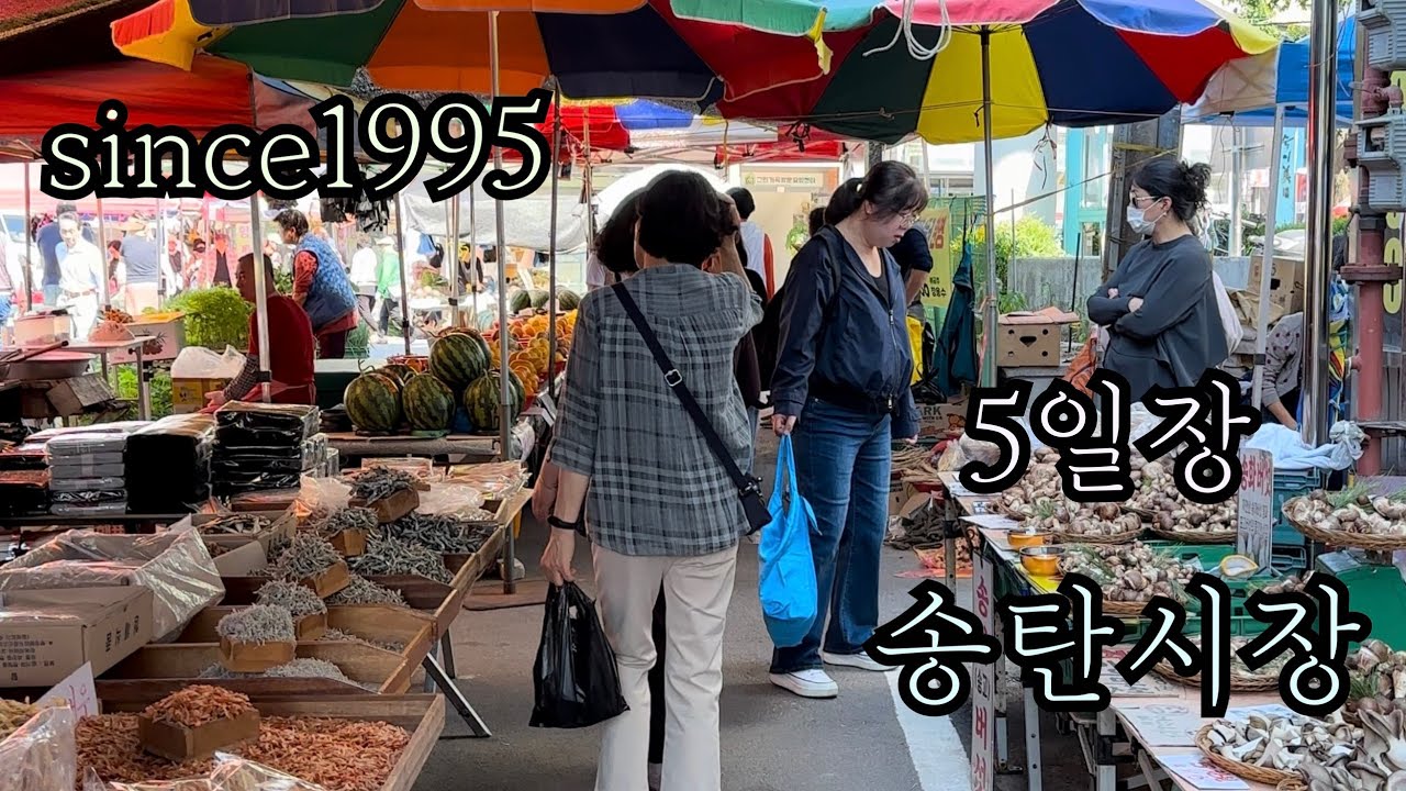구경거리 가득한 평택 송탄시장 장날풍경