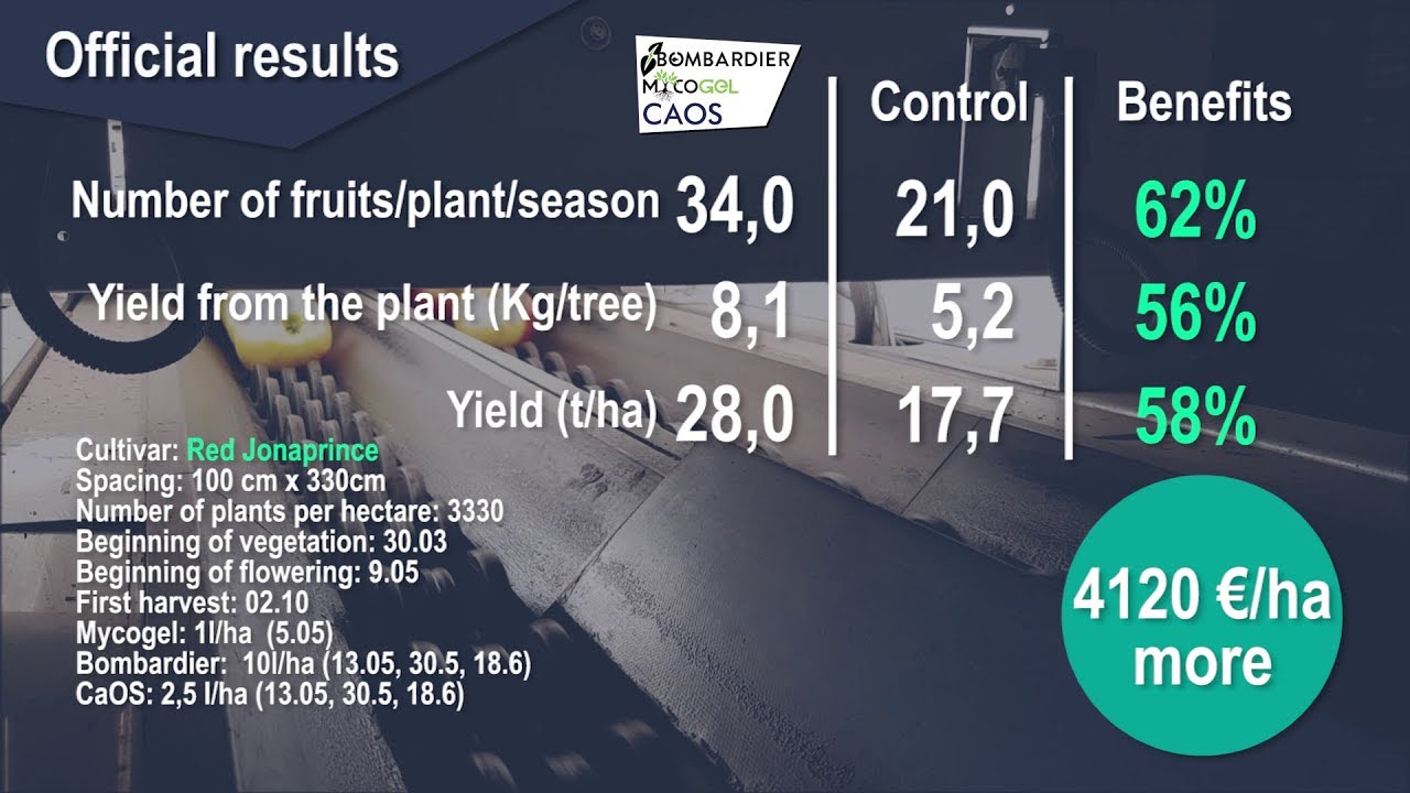 Apple trial with Mycogel |  Agrocode Bioscience [Poland]