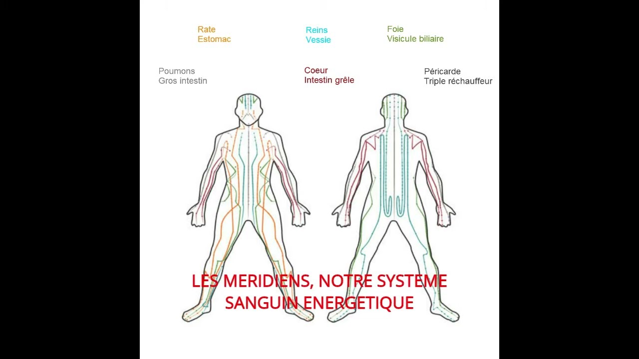 LES FONCTIONS DES MERIDIENS - COMMENT LES TRACER