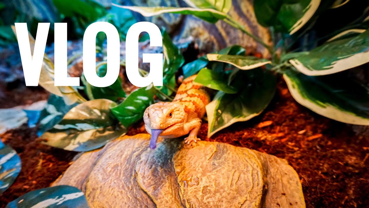 Очистка резервуаров - Видеоблог 16