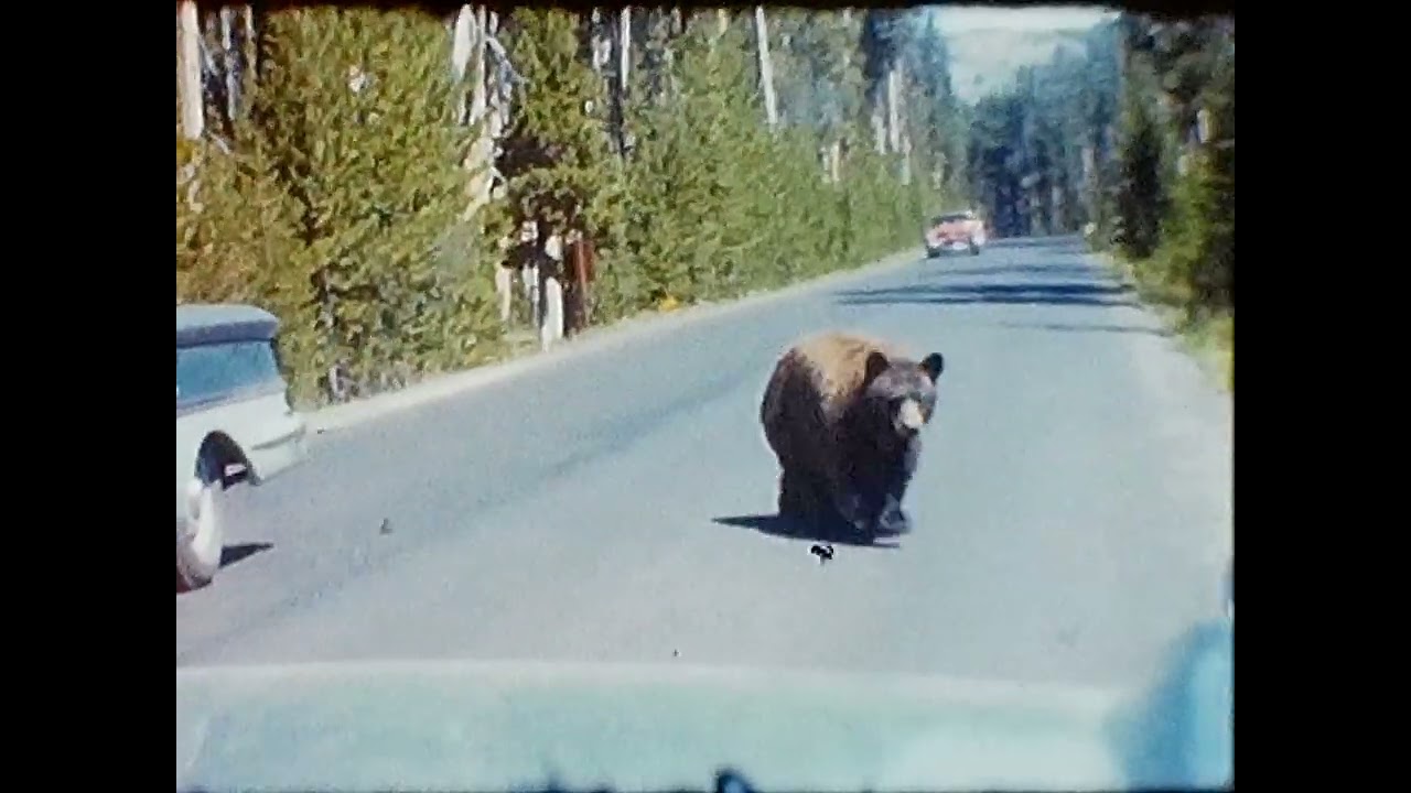 BR 59 Johnson Home Movies