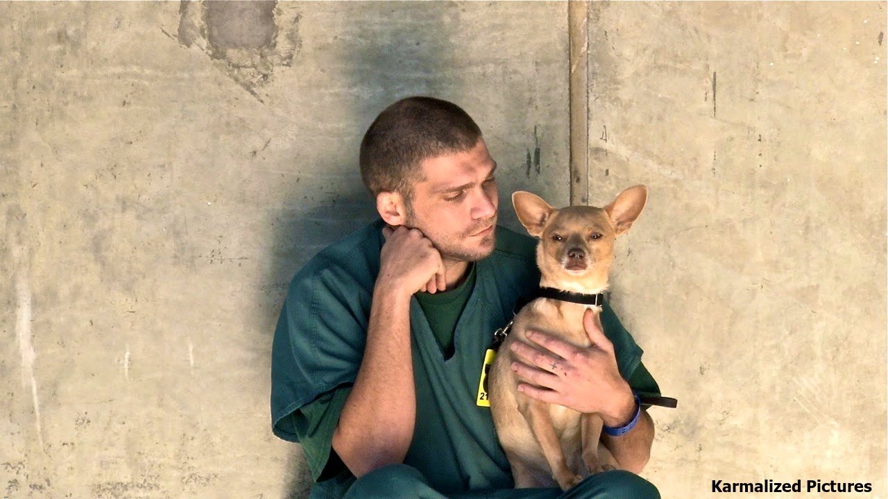 Jail Dogs       Winter Webisode 2013