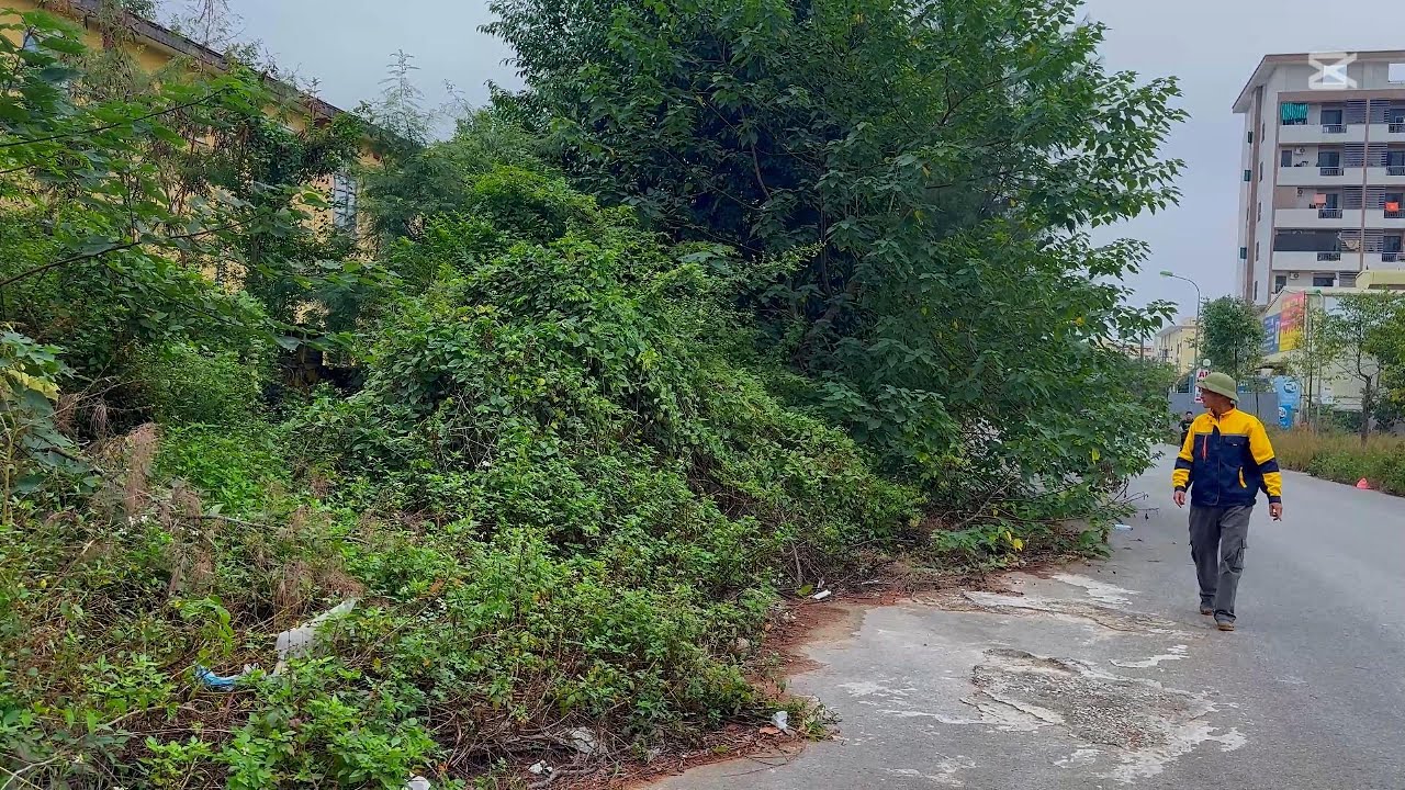 The world's BIGGEST sidewalk cleaning crew took 5 days to complete this job