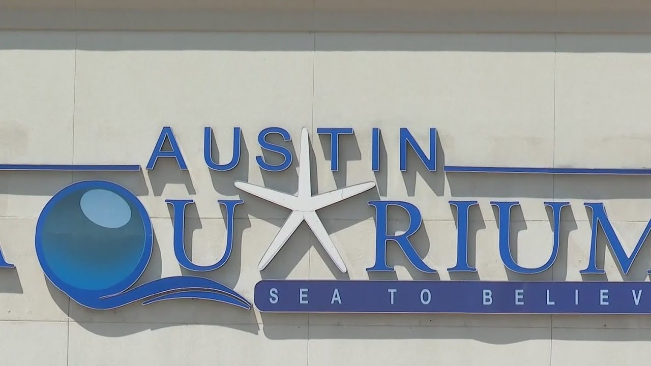 Austin Aquarium Receives Warning From USDA Regarding Animal Handling &lsquo;Violation