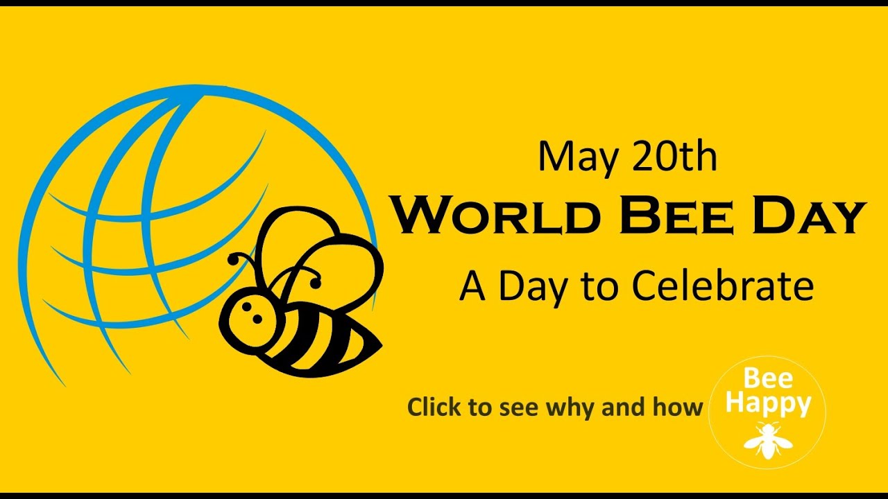 World Bee Day 2024