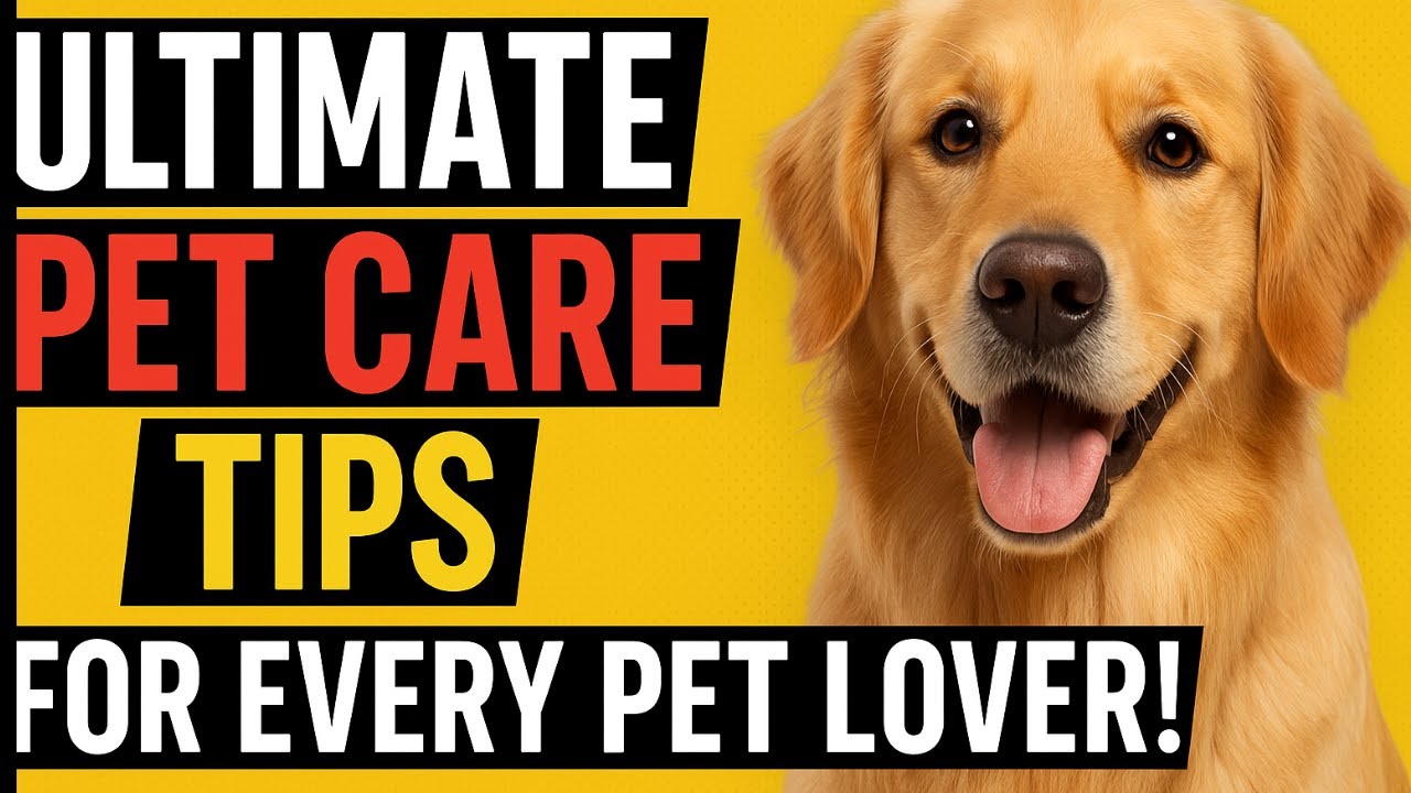 Полезные советы по уходу за домашними животными для всех любителей питомцев