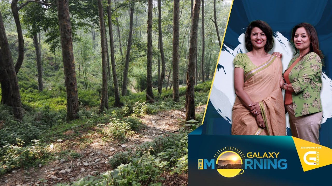 This Morning LIVE | 01 June 2023 | Galaxy This Morning