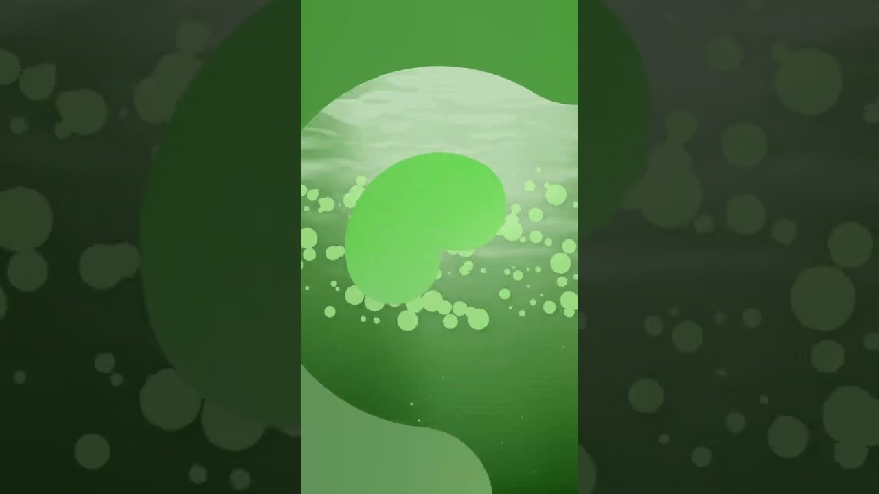 How to Clear Green Pond Water Naturally ✨