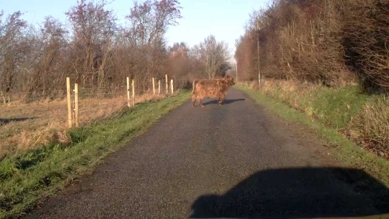 T&aring;singe: nu med kv&aelig;g p&aring; vejen!
