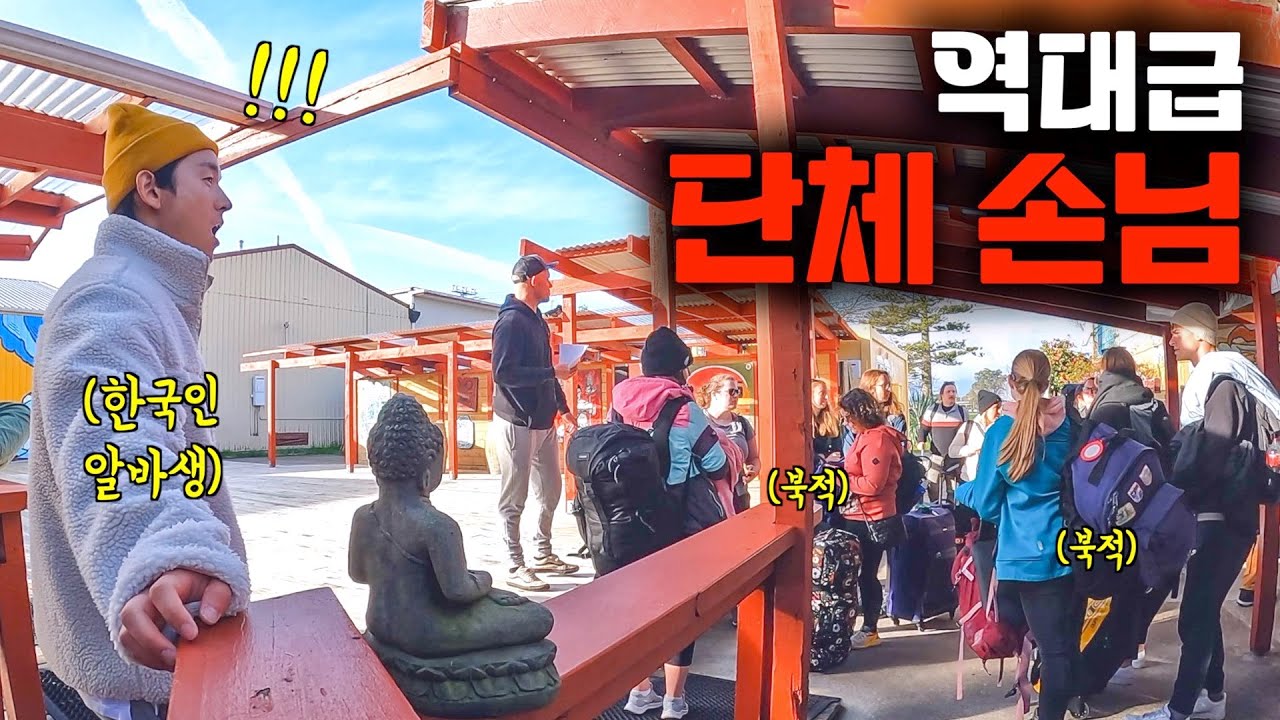 미친듯이 몰아치는 뉴질랜드 게하에서 한국인 알바생이 하는 일은? [뉴질랜드30]