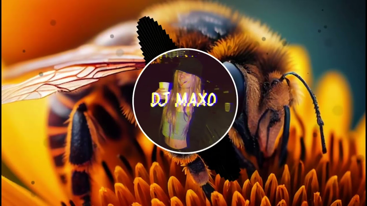 Alicja Gałązka - Taniec Mai (SHAMAL BOOTLEG 2021) (DJ_MAXO BASS BOOSTED)