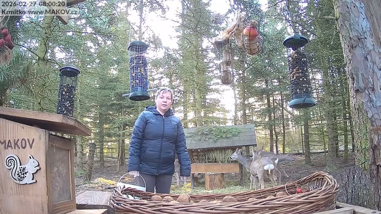 27.2. - Jiřinka informuje o včerej&scaron;&iacute;m smrteln&eacute;m &uacute;razu č&aacute;pa Honz&iacute;ka - viz. předchoz&iacute; videa