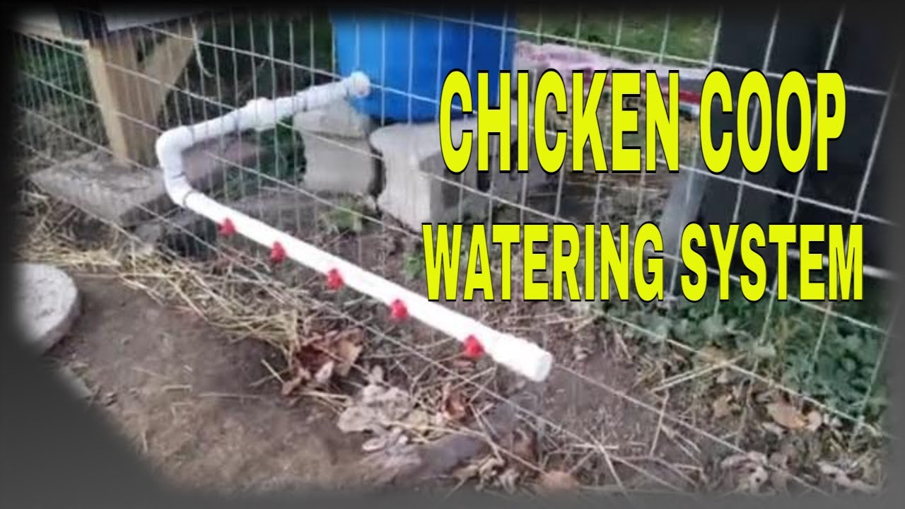Chicken Coop Watering System