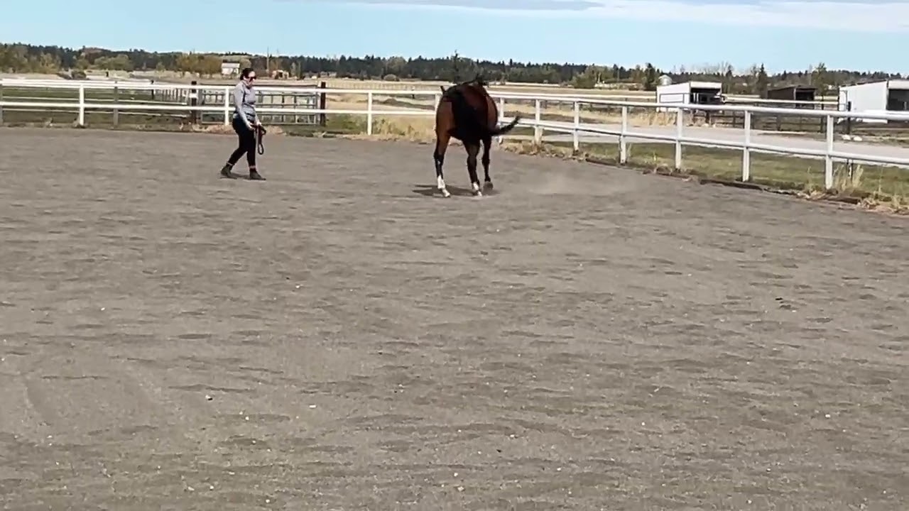 Spyro Sep 27 Fun Boundaries