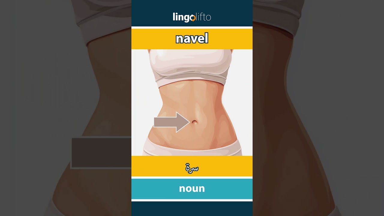 🇬🇧🇪🇬 navel - سرة : learn English : دعنا نتعلم الإنجليزية : vocabulary builder