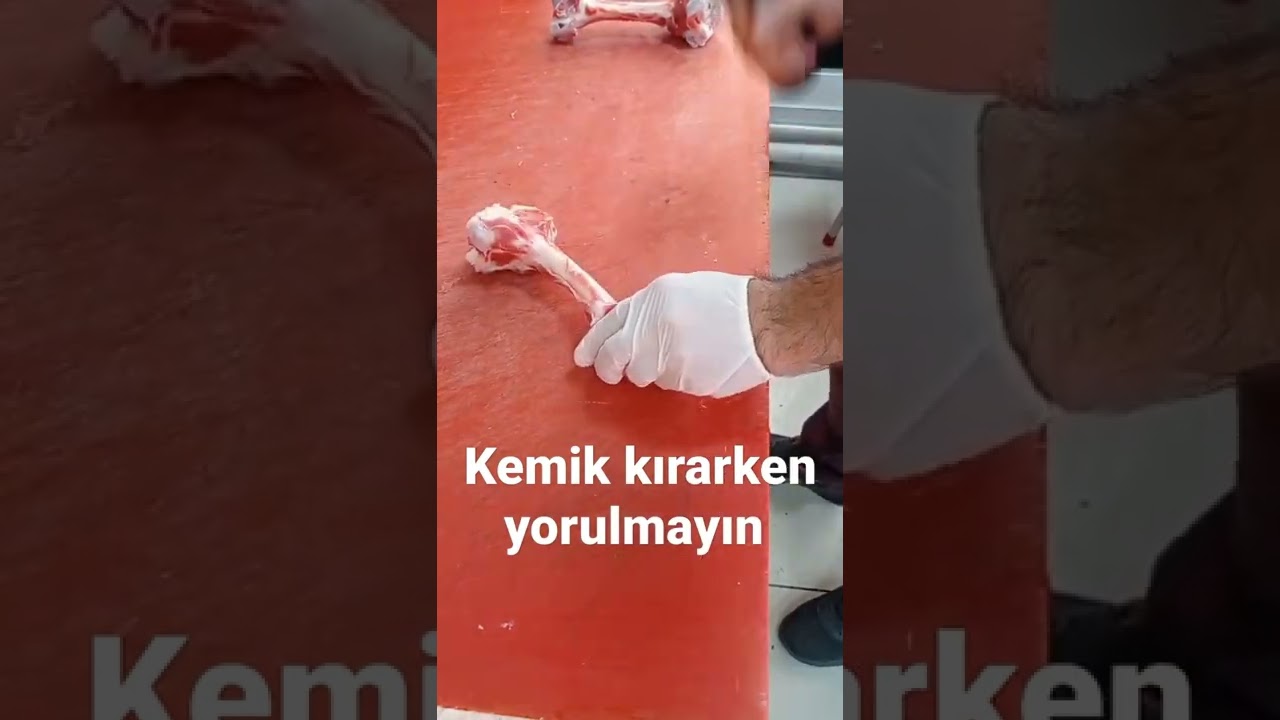 #kurban