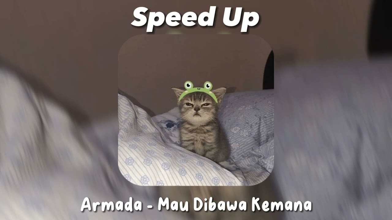 playlist; salting + baper = jadi satu 😩💗 (Speed Up)