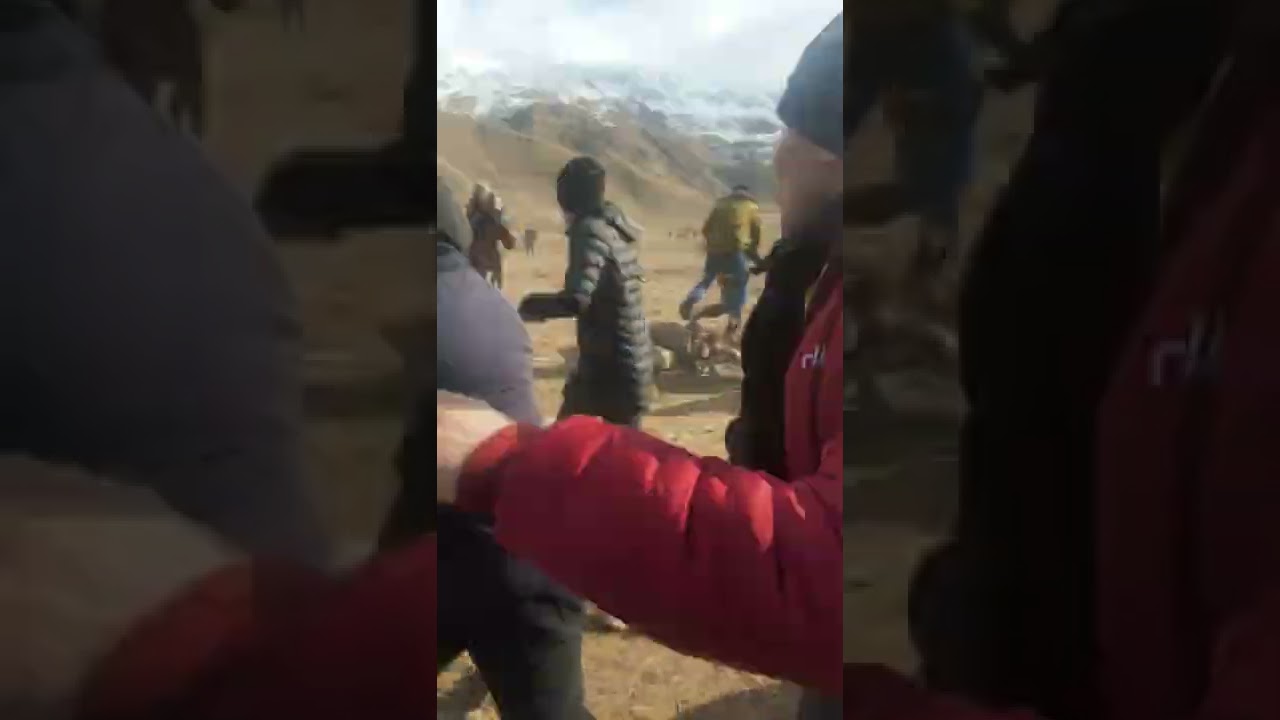 бузкаши дар н шохини дехаи ёл