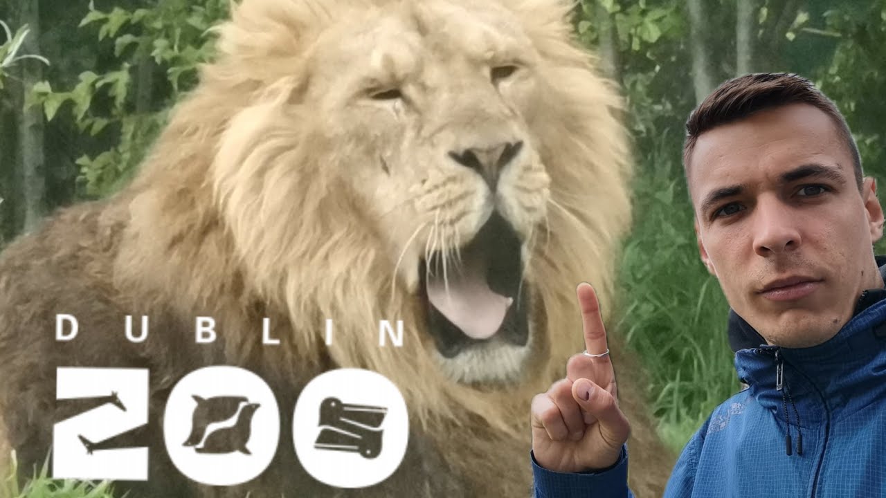 Dublin Zoo🇨🇮(2021)🦒