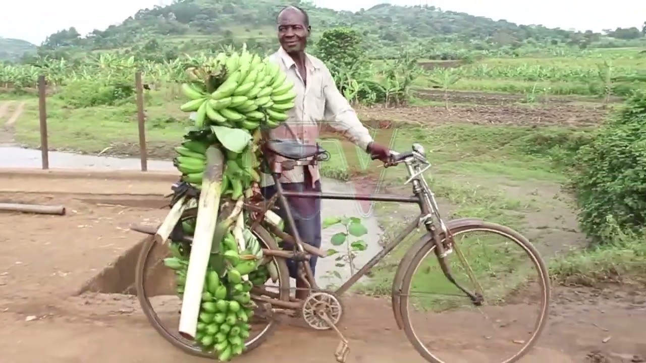 Abatuuze beekoledde olutindo, olwaliwo lwatwalibwa amataba mu 1997