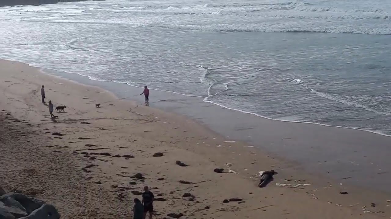 Cornwall Amazing Beaches 🏄🌅 🇬🇧 Fistral Beach, Newquay in North-West Cornwall | #cornwall