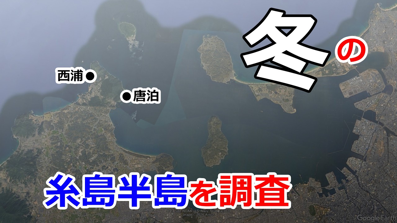 2026年2月上旬　西浦・唐泊　釣行
