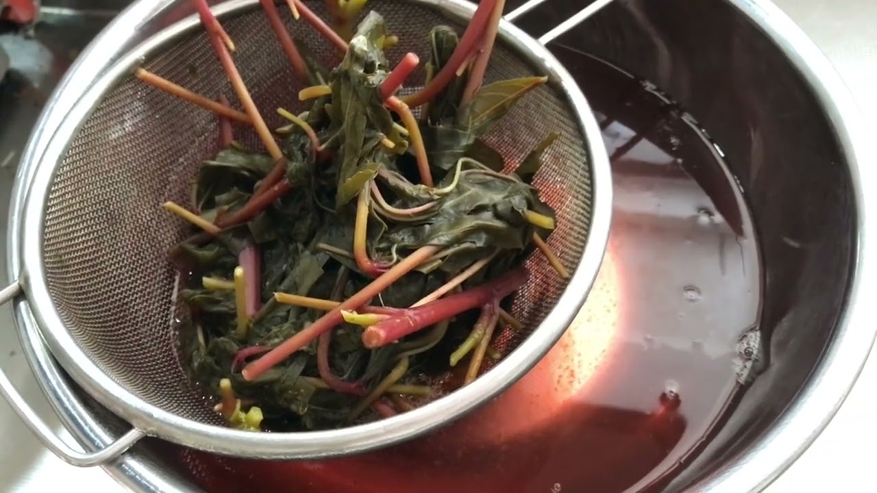 ローゼルの葉っぱジュース作り② making the juice from the leaves!