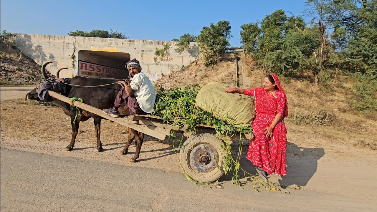 कैसे रहते हैं इसे गाँव कहते हैं Village life style शहरों से दूर जंगल में यही है Camping In jungle 