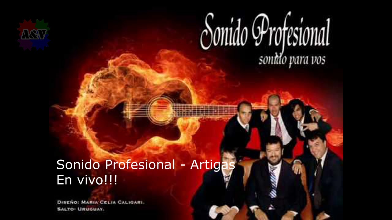 Sonido Profesional - Artigas