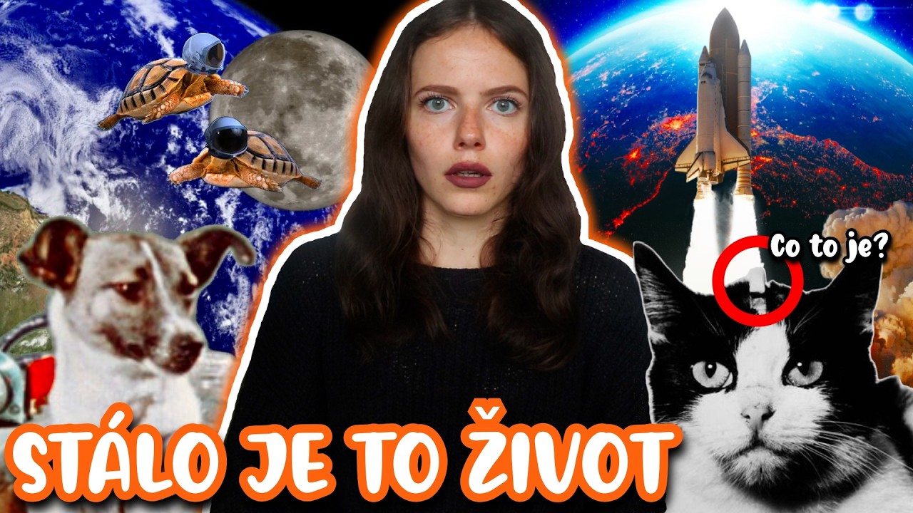 Pravda o zv&iacute;řatech ve vesm&iacute;ru je hor&scaron;&iacute; než si mysl&iacute;&scaron; | Just Just&yacute;na