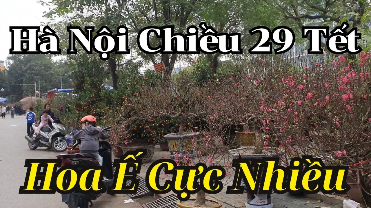 Chiều 29 Tết tại chợ hoa Hà Nội. Đào, Quất, Mai còn rất nhiều